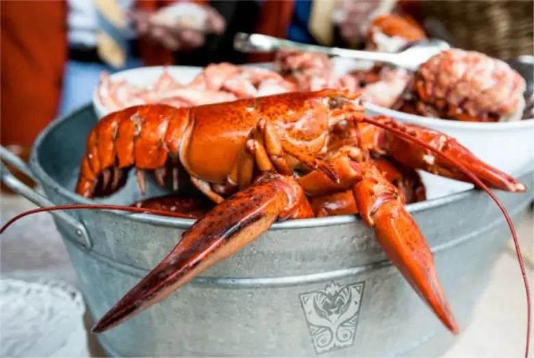 ตลอดเดือนธันวาคม 2558 นี้ "เชฟอัลเบอร์โต ...