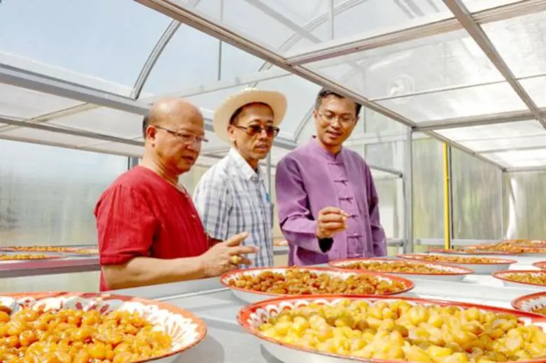 การวางรากฐานด้านสิ่งแวดล้อม และพลังงาน เป...