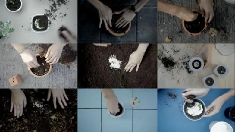 "เริ่มปลูกป่าได้จากโต๊ะทำงานของเรา" อ่านไ...