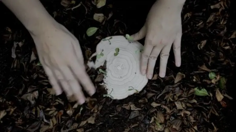 Table Forest นวัตกรรมเพื่อโลกสีเขียว ปลูกจิตสำนึกให้งอกงามได้ทุกที่