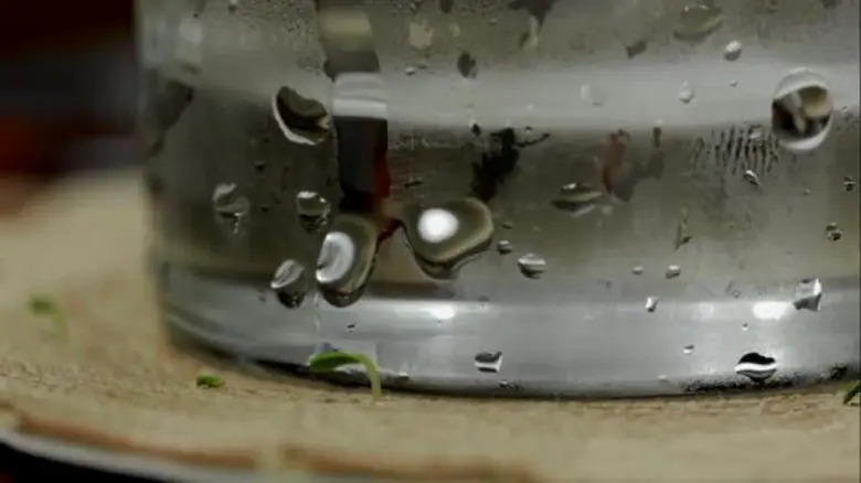 Table Forest นวัตกรรมเพื่อโลกสีเขียว ปลูกจิตสำนึกให้งอกงามได้ทุกที่