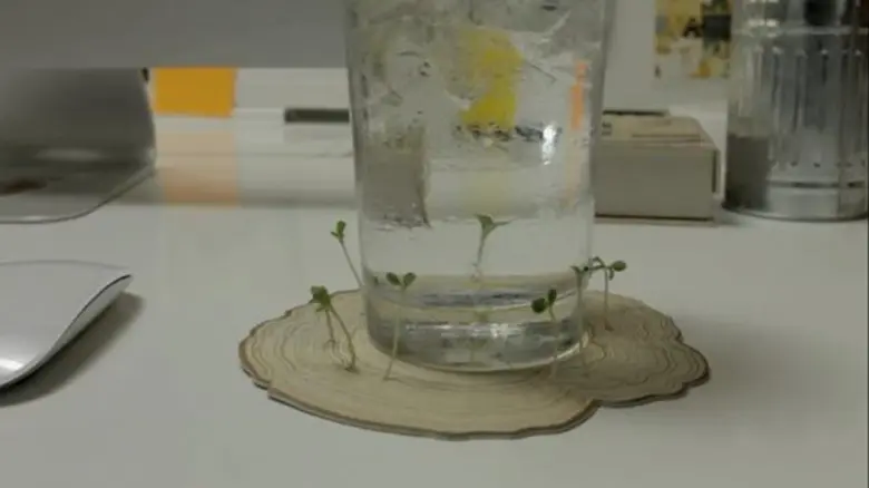 Table Forest นวัตกรรมเพื่อโลกสีเขียว ปลูกจิตสำนึกให้งอกงามได้ทุกที่