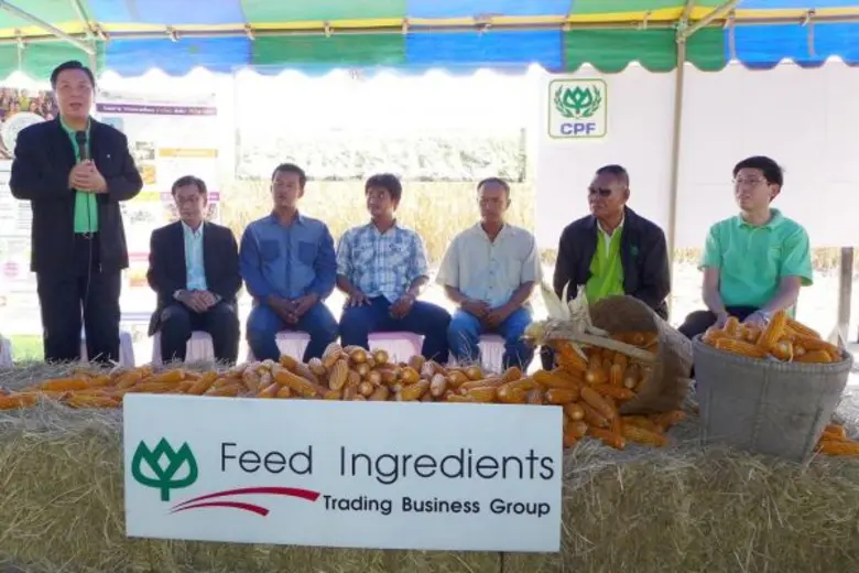 ซีพี นำร่องเกษตรกรปลูกข้าวโพดถูกวิธี มุ่งลดต้นทุน-เพิ่มผลผลิต ได้มาตรฐานการผลิตสินค้าปลอดภัย สร้างรายได้ยั่งยืน ตรวจสอบย้อนกลับได้