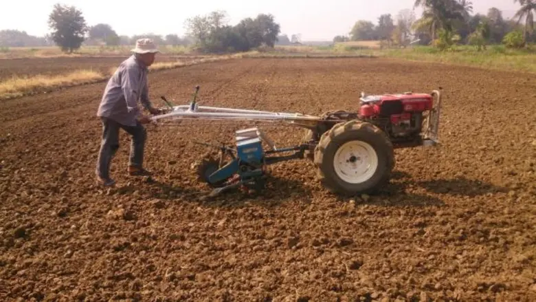 ซีพี นำร่องเกษตรกรปลูกข้าวโพดถูกวิธี มุ่งลดต้นทุน-เพิ่มผลผลิต ได้มาตรฐานการผลิตสินค้าปลอดภัย สร้างรายได้ยั่งยืน ตรวจสอบย้อนกลับได้
