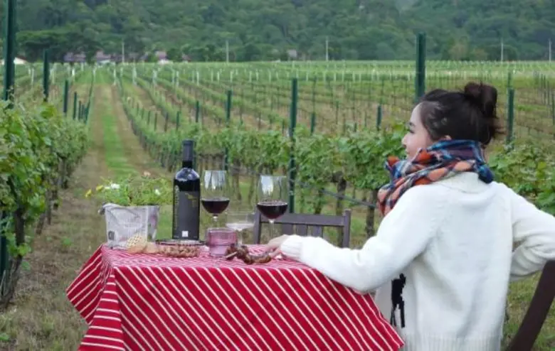 เมื่อกลิ่นอายของฤดูหนาวเริ่มมาเยือนเขาใหญ...