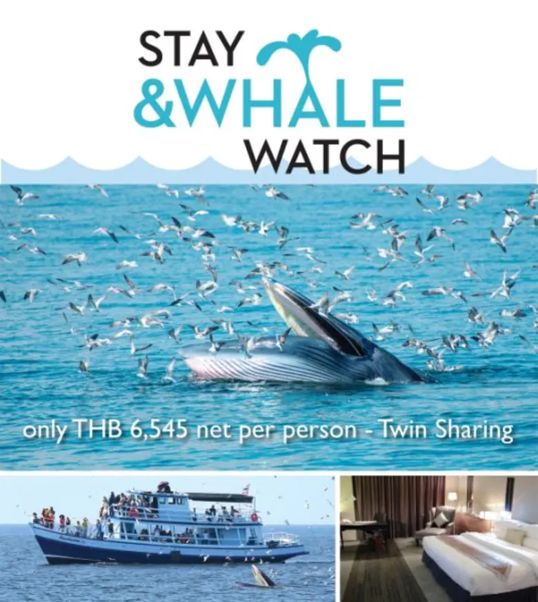 เปิดประสบการณ์ครั้งหนึ่งในชีวิตกับแพคเกจห...