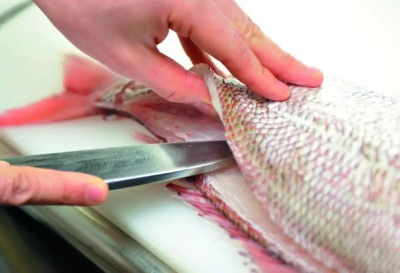 วิทยาลัยดุสิตธานี พร้อมเปิด “หลักสูตรการประกอบอาหารญี่ปุ่นแบบต้นตำรับ” รอบที่ 4