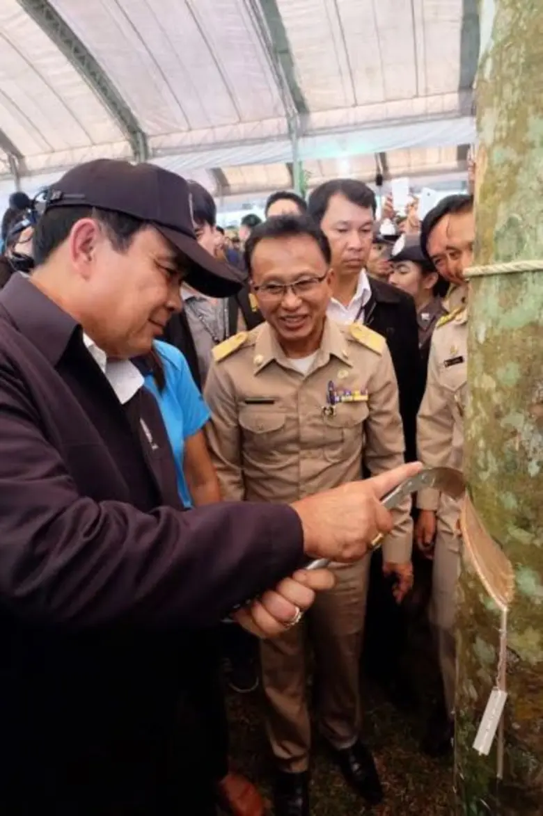 นายกฯ มอบเงิน นำร่องโครงการสร้างความเข้มแข็ง 1,500 บ./ไร่ ส่งความสุขปีใหม่แก่ชาวสวนยาง