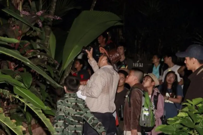 กิจกรรมท่องไพรเมื่อไร้แสง QSBG Night Garden