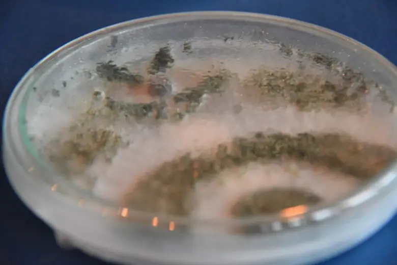 นักวิจัย มอ. กับการค้นหาและพัฒนาสารต้นแบบของยาจากรา คว้าทุนวิจัยศาสตราจารย์ที่เป็นผู้นำกลุ่ม ประจำปี 2558