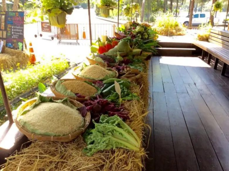 ผู้บริโภคและเกษตรกรเฮลั่นตลาดสุขใจ ในสวนสามพราน จ. นครปฐม เปิดทุกวันแล้ว