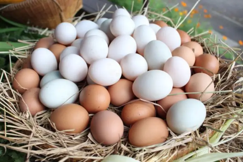 ผู้บริโภคและเกษตรกรเฮลั่นตลาดสุขใจ ในสวนสามพราน จ. นครปฐม เปิดทุกวันแล้ว