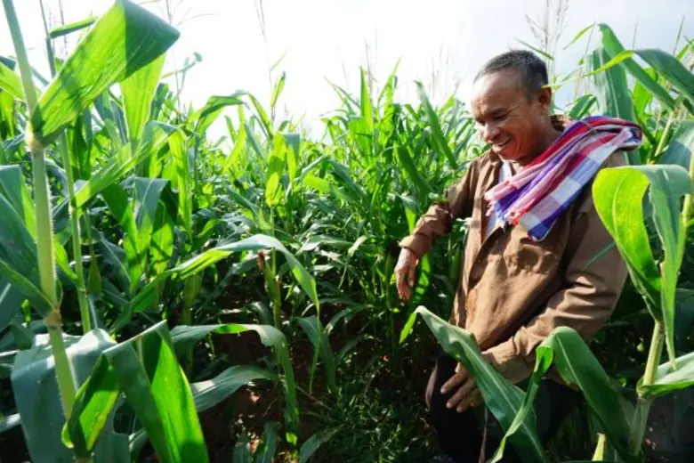 บริษัทกรุงเทพโปรดิ๊วส จำกัด (มหาชน) หรือ ...