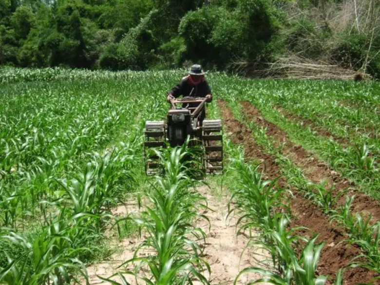 BKP นำร่องประกาศใช้ระบบตรวจสอบแหล่งที่มาข้าวโพดเลี้ยงสัตว์ระบุรับซื้อเฉพาะจากแหล่งที่มาถูกกฎหมาย-ไม่ทำลายสิ่งแวดล้อม