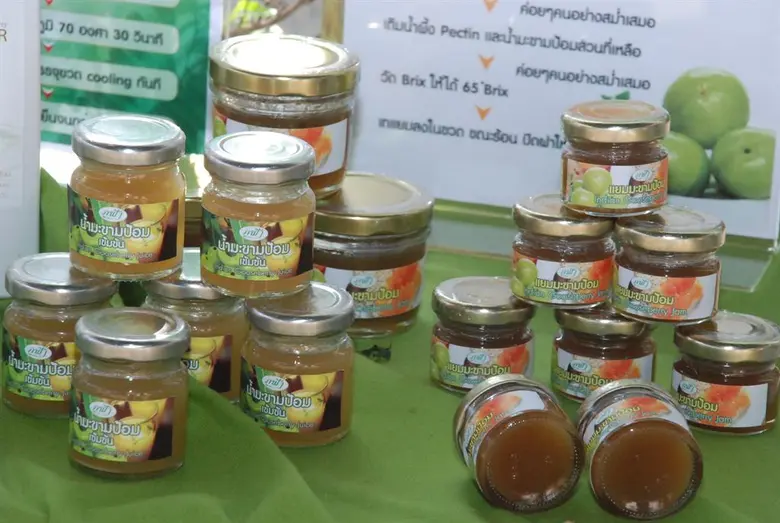 กสอ. เติมงบ 85 ล้าน ดันแฟชั่นและเกษตรแปรรูปบุกตลาดโลก ตั้งเป้าปี 59 สร้างมูลค่าเพิ่มให้ผู้ประกอบการกว่า 500 ล้านบาท