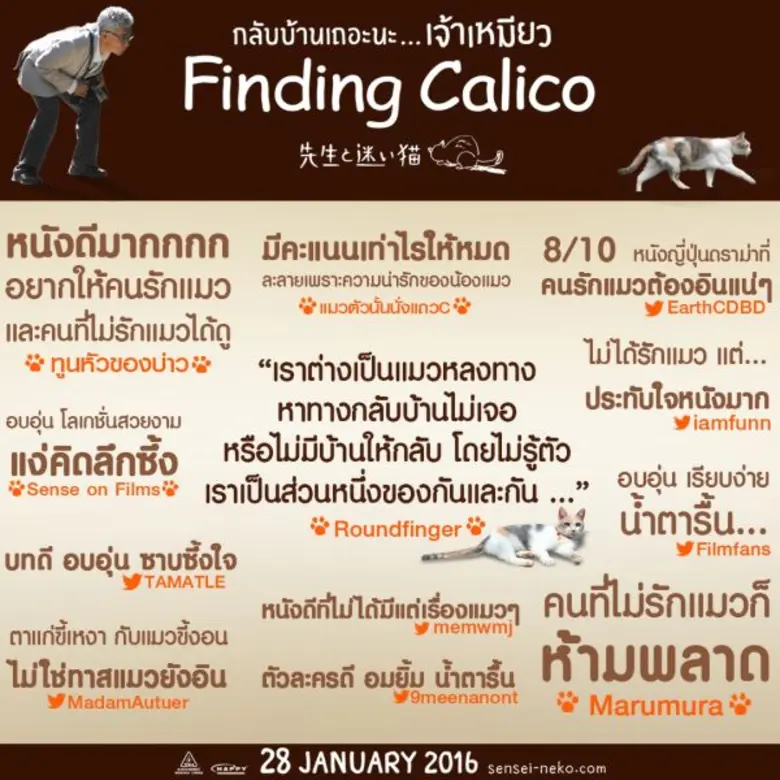 Movie Guide: อิสเซย์ โองาตะ และ โชตะ โซเมะตานิ จาก ปรสิต เพื่อนรักเขมือบโลกนำทีมร่วมออกตามหา เจ้าเหมียว ขี้น้อยใจ ที่ชอบหนีออกจากบ้านในภาพยนตร์สุดน่ารัก Finding Calico ..กลับบ้านเถอะนะ .... เจ้าเหมียว