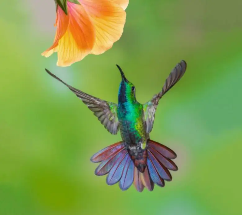 นายอานันท์ ปันยารชุน อดีตนายกรัฐมนตรี ให้เกียรติเป็...