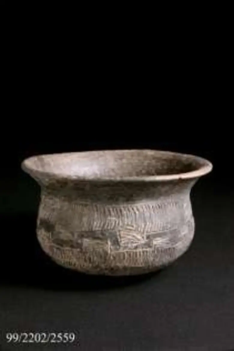 นายวีระ โรจน์พจนรัตน์ รัฐมนตรีว่าการกระทร...