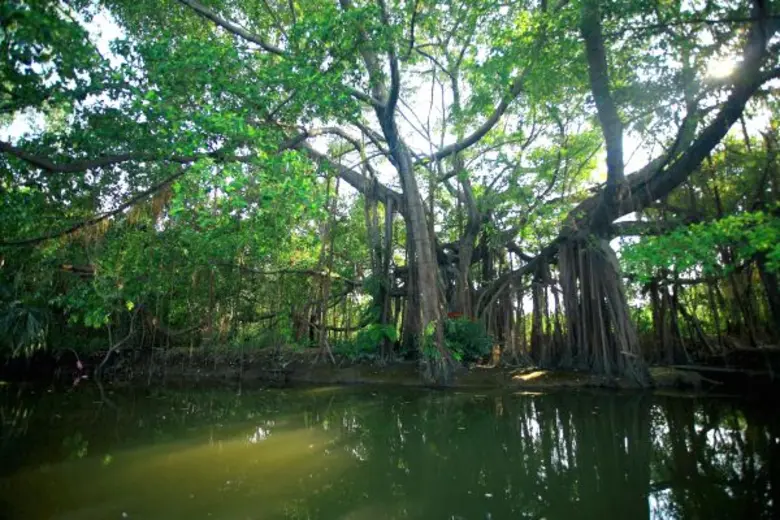 People & Forests Fair เทศกาลคนกับป่า เพราะเรื่องของป่าเป็นเรื่องของทุกคนForest protection begins with me