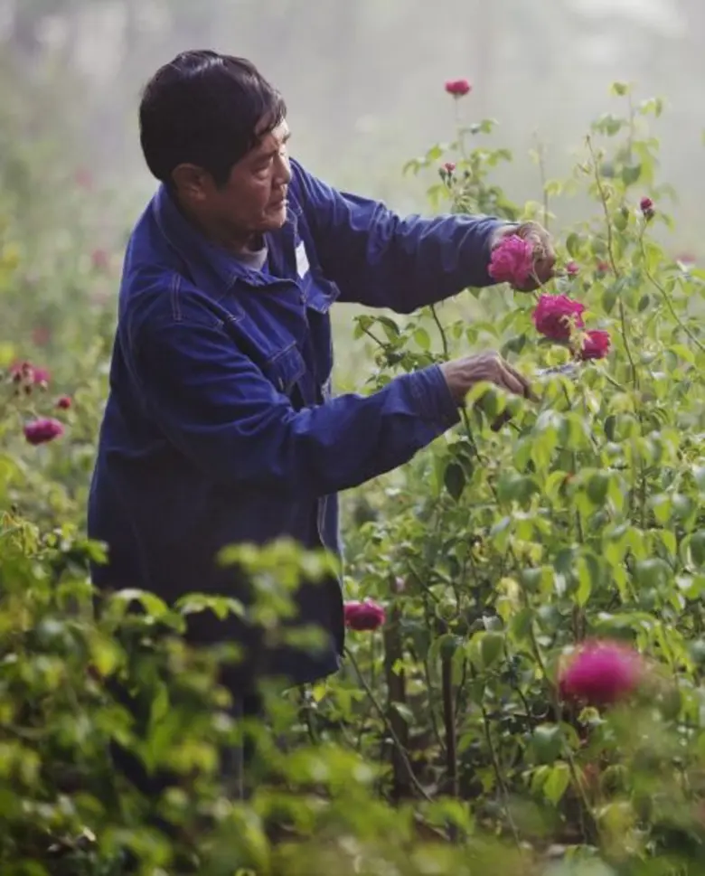 รร.สามพราน ริเวอร์ไซด์ เอาใจคู่รัก จัดโปรพิเศษ “Love N’ Roses” รับวาเลนไทน์