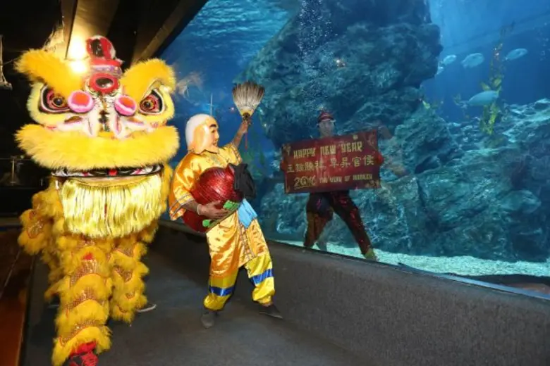 เนื่องด้วยเทศกาลตรุษจีนแห่งปีลิงมงคลกำลัง...