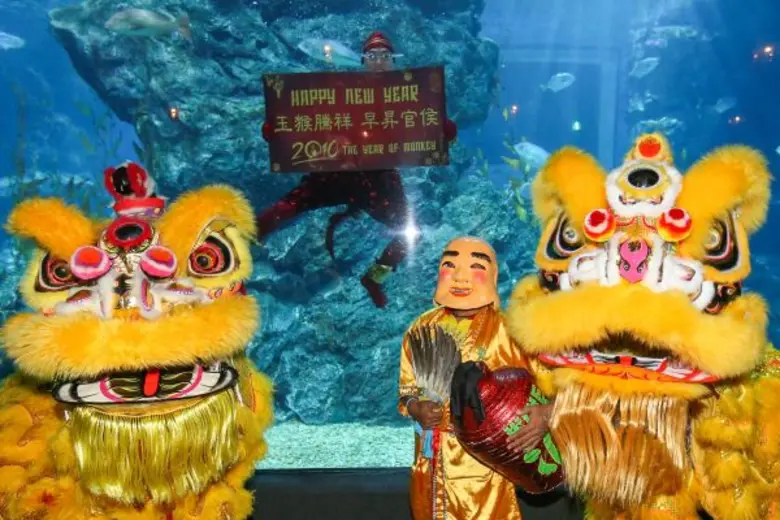 ซีไลฟ์ แบงคอก โอเชี่ยน เวิร์ล ฉลองปีลิงมงคลแบบไทยแท้ 'โชว์มัจฉานุดำน้ำ’ ครั้งแรกของประเทศไทย!