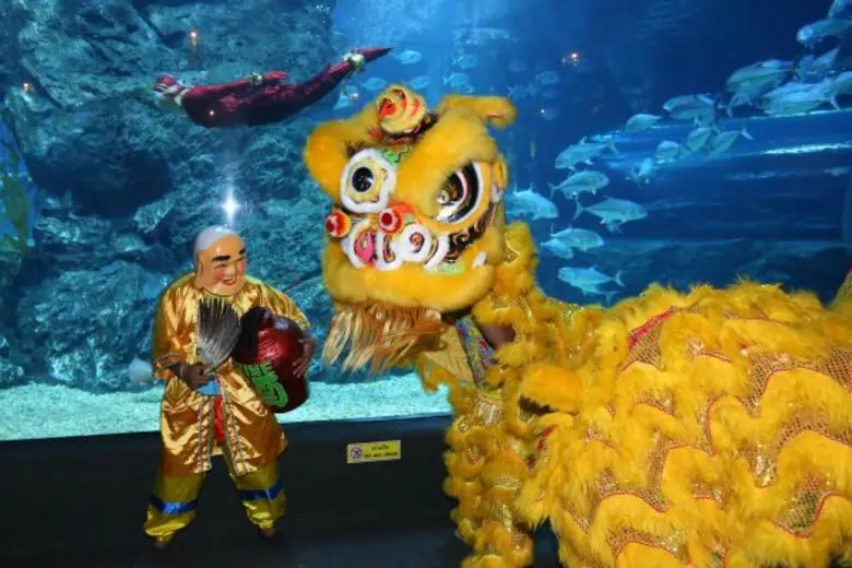 ซีไลฟ์ แบงคอก โอเชี่ยน เวิร์ล ฉลองปีลิงมงคลแบบไทยแท้ 'โชว์มัจฉานุดำน้ำ’ ครั้งแรกของประเทศไทย!