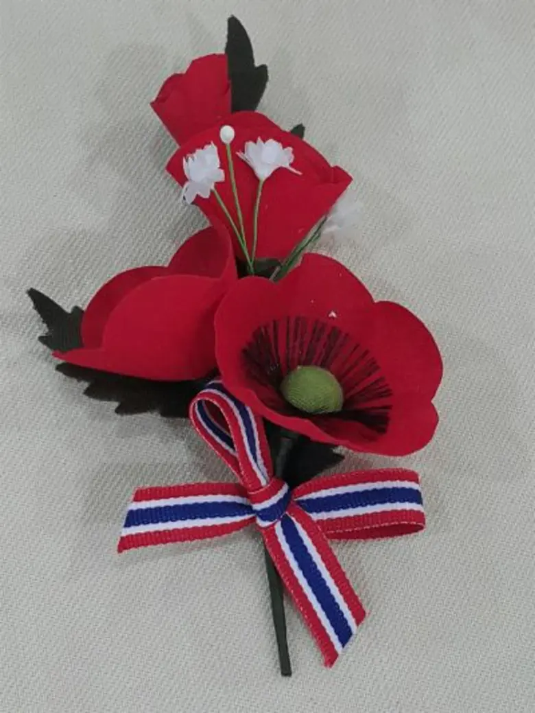 สัปดาห์ดอกป๊อปปี้บาน 2016 วันที่ 28 มกราคม  – 3 กุมภาพันธ์ 2559