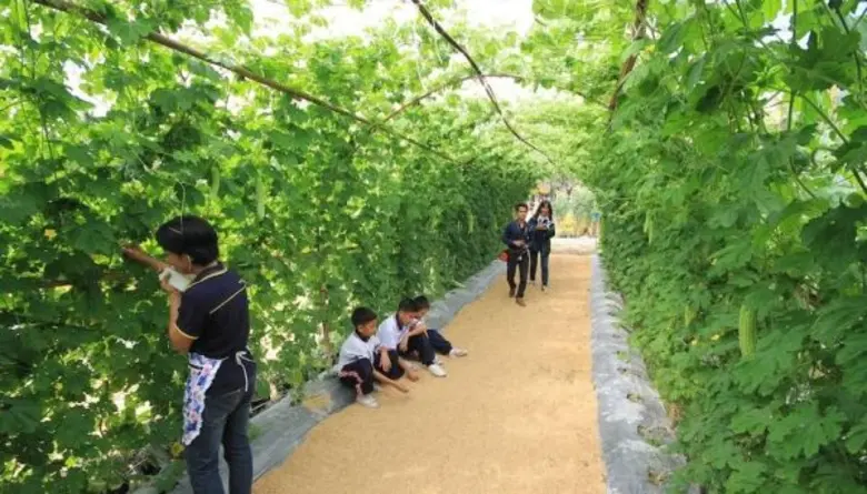 สาขาพืชผัก คณะผลิตกรรมการเกษตร มหาวิทยาลั...