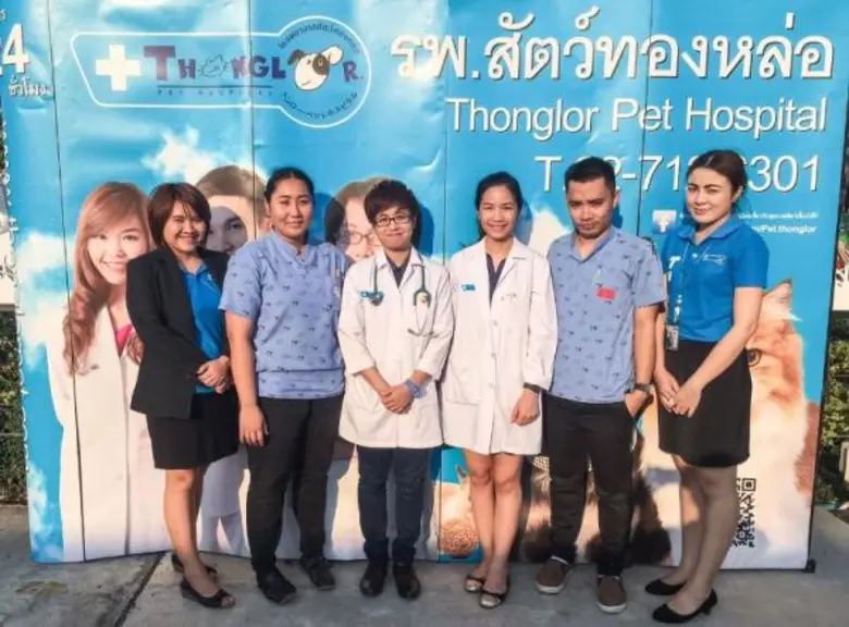 โรงพยาบาลสัตว์ทองหล่อ ผู้นำอันดับ 1 ได้เป...