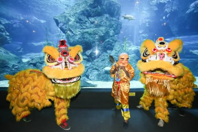 เนื่องด้วยเทศกาลตรุษจีนแห่งปีลิงมงคลกำลัง...