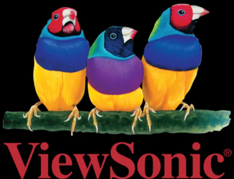 ผู้นำด้านผลิตภัณฑ์ในการแสดงผลของ Projecto...