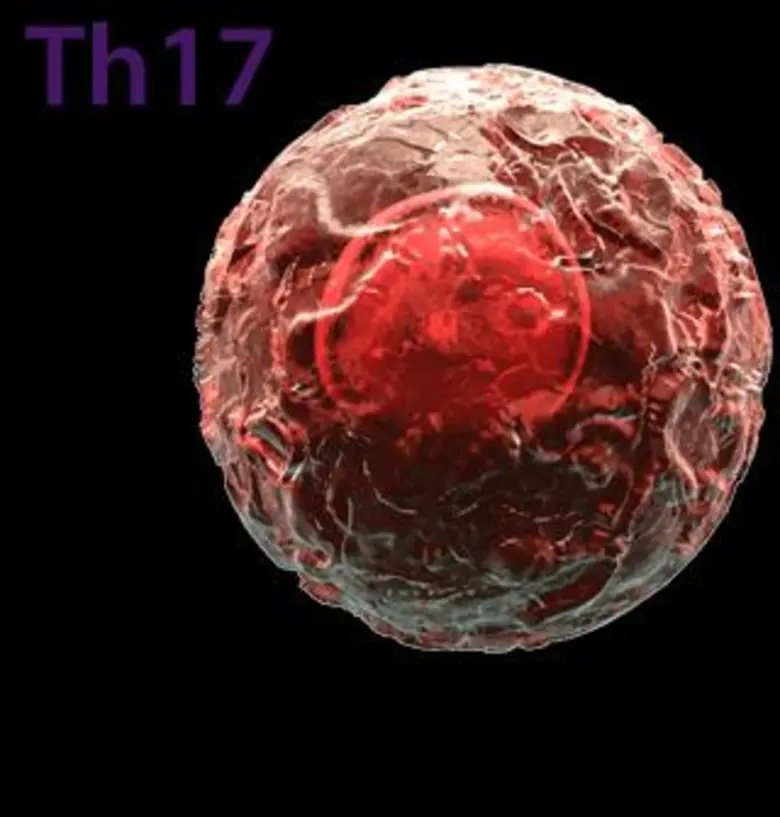 ข่าวการแพร่ระบาดของโรค "ไข้ซิกา" ซึ่งขณะน...