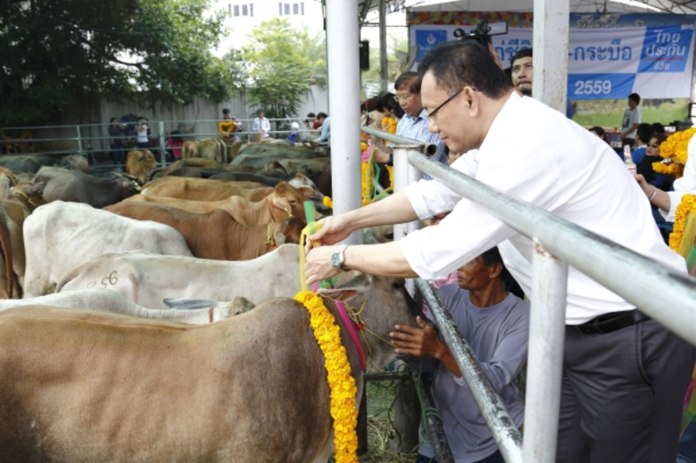 ภาพข่าว: ไถ่ชีวิต