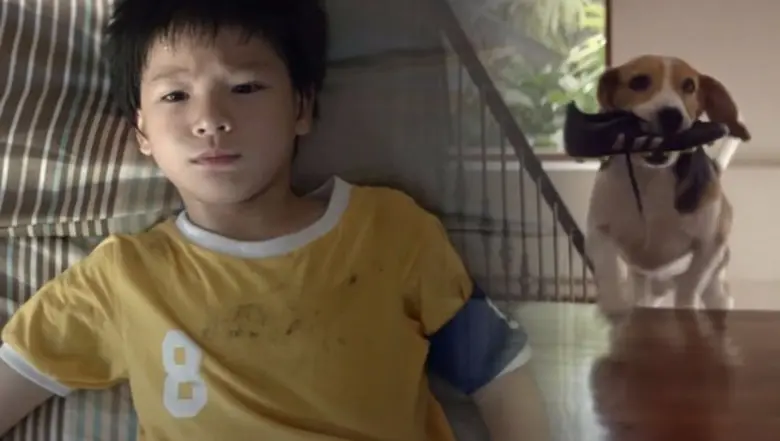 อาหารสุนัขเพดดิกรี® แบรนด์อาหารสุนัขที่คร...