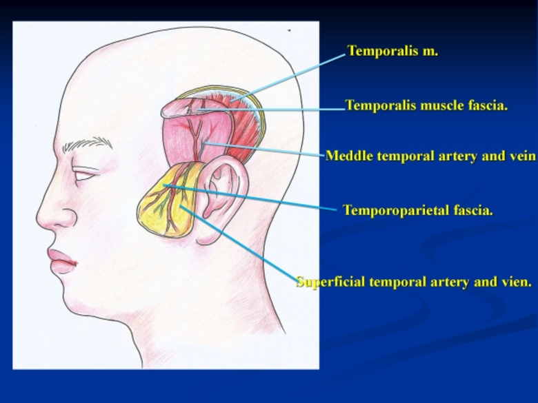 ศัลยแพทย์ไทย โชว์นวัตกรรมใหม่ เฟซ ล็อค” (Face Lock)แค่ล็อค 3 จุดบนใบหน้า...ก็ย้อนวัยให้กลับมาสวยเด้ง...ตีงเปรี๊ยะ!! แถมตอบโจทย์ “เจ็บน้อย แต่สวยนาน...”