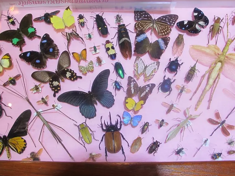 อุทยานการเรียนรู้ TK park เซ็นทรัลเวิล์ด ...