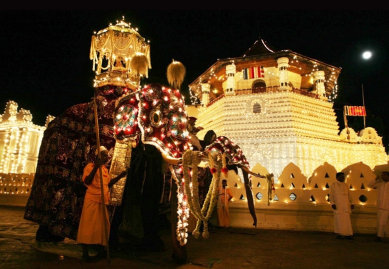 ธรรมดีทัวร์ และ สำนักพิมพ์ดีเอ็มจี ขอเชิญร่วมทริปสู่เส้นทางแห่งศรัทธา ประเทศศรีลังกา