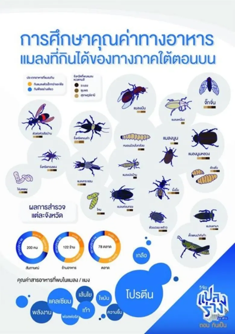 นางสาวกมลกาญจน์ รัตนอุดมสวัสดิ์ นักศึกษาช...