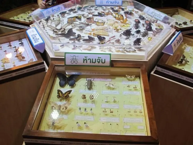 อุทยานการเรียนรู้ TK park เซ็นทรัลเวิล์ด ...