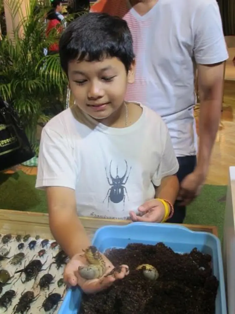 ตะลึง !!! แมลงยกทัพบุก TK park ในนิทรรศการ “โลกของแมลง” A Bug’s Life