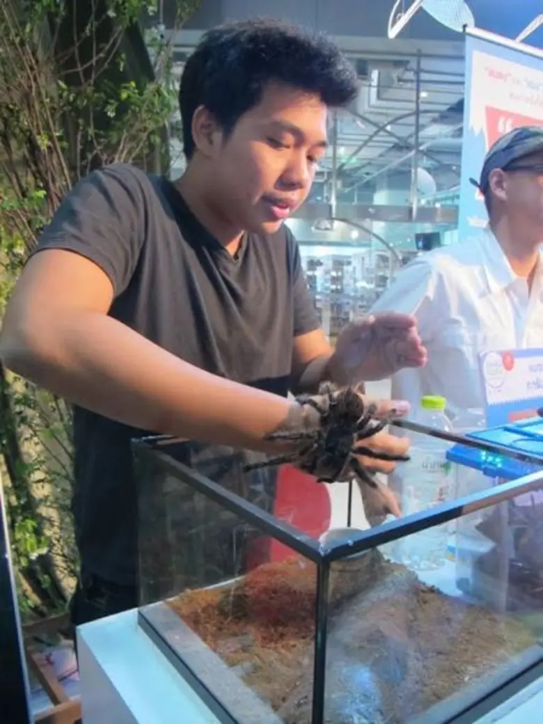 ตะลึง !!! แมลงยกทัพบุก TK park ในนิทรรศการ “โลกของแมลง” A Bug’s Life