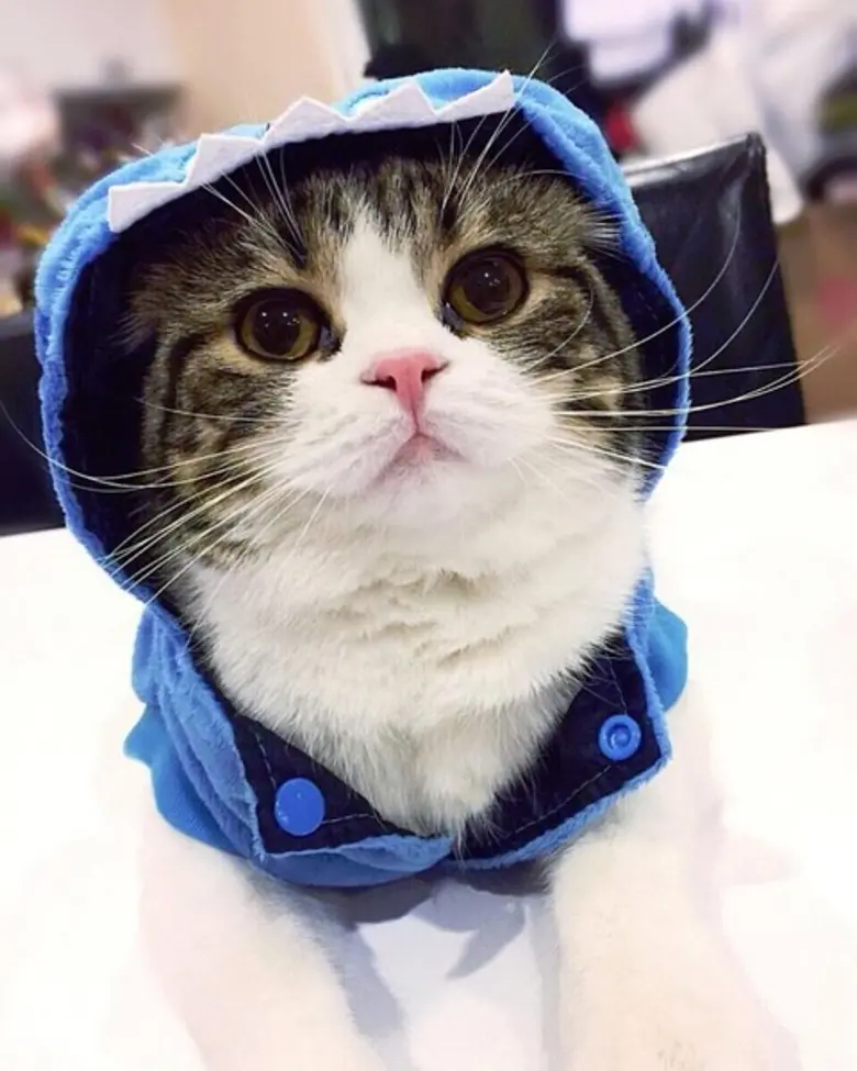 วันที่ 20 – 21 ก.พ. และ 27 ก.พ. 59 นี้ ศู...