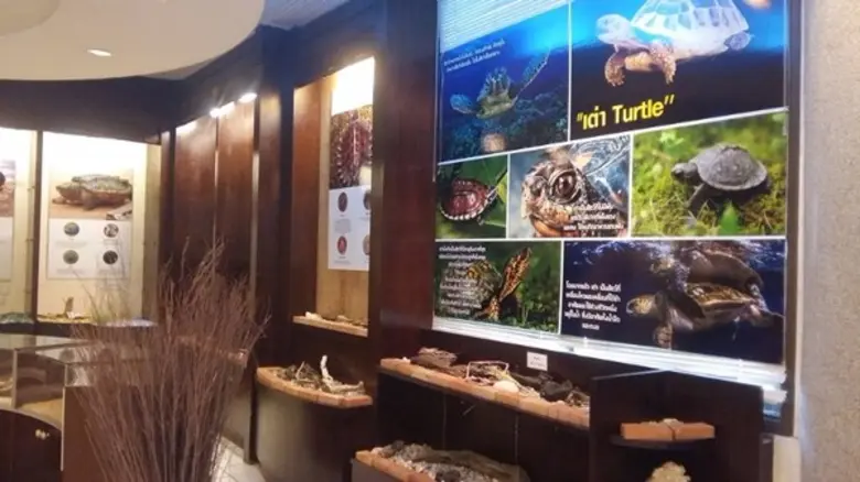 พิพิธภัณฑ์สัตว์น้ำราชมงคลตรัง ภายใต้การดู...