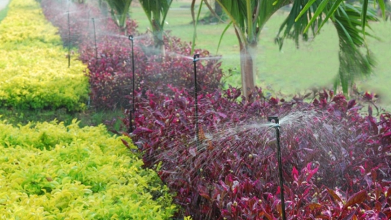 ซีพีเอฟ เดินหน้าอนุรักษ์และใช้น้ำอย่างมีประสิทธิภาพ พร้อมแบ่งปันน้ำให้เกษตรกรลดผลกระทบภัยแล้ง