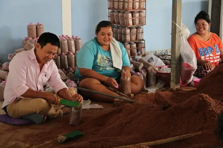 "จากเด็กต่างจังหวัด มุ่งหน้าสู่กรุงเทพเพื...