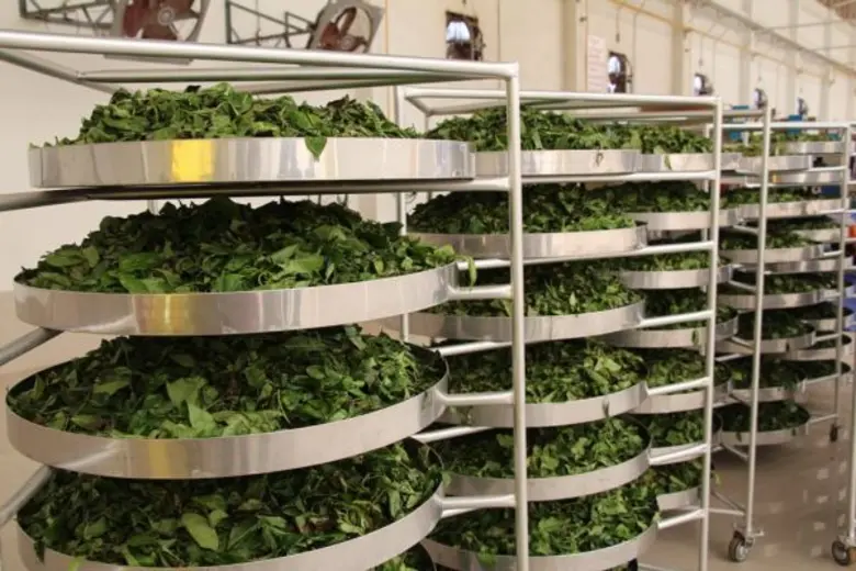 กระทรวงอุตสาหกรรมลงพื้นที่เยี่ยม 2 สถานประกอบการที่เข้าร่วมโครงการ OPOAI ภาคเหนือ มุ่งหวังยกระดับการเพิ่มผลผลิตทางการเกษตร สู่เกษตรอุตสาหกรรมแปรรูปอย่างครบวงจร