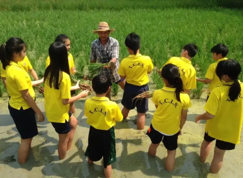 ตะลุยแปลงนา เรียนรู้ที่มาของข้าว