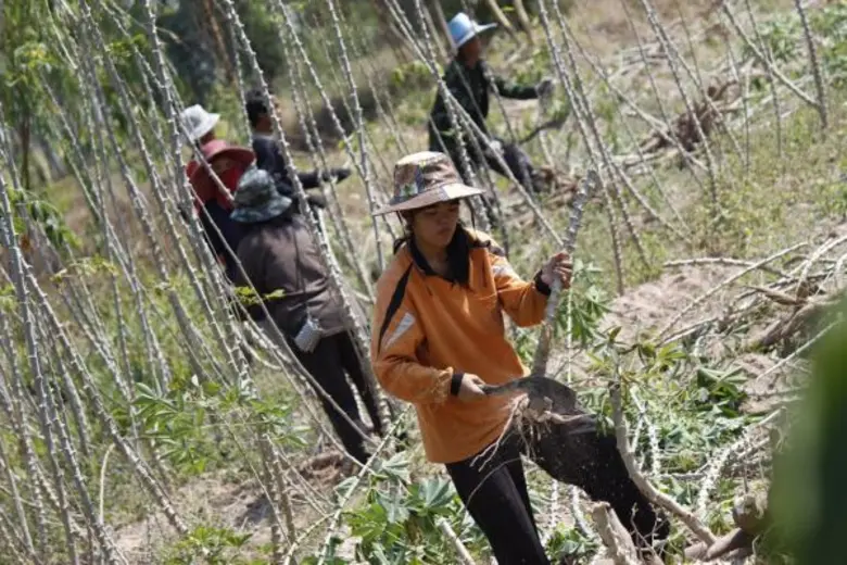 รายการ "สานรัก คนเก่งหัวใจแกร่ง" เสาร์นี้...