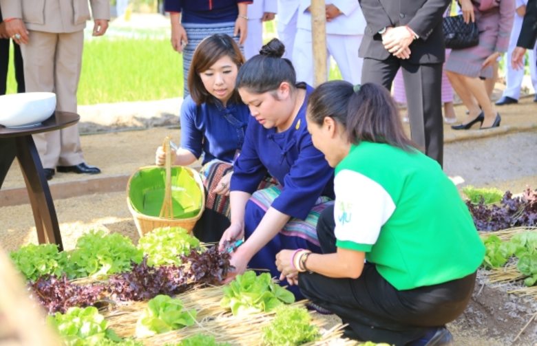 พระเจ้าหลานเธอ พระองค์เจ้าอทิตยาทรกิติคุณ เสด็จเป็นประธาน เปิดงานวันเกษตรแห่งชาติ 2559 ณ มหาวิทยาลัยแม่โจ้